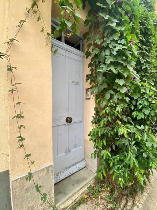 Click! Casa Lamartine Fabulous Ideal Location Walk To All!!! Cassis Bagian luar foto